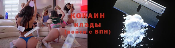 тгк Алексин