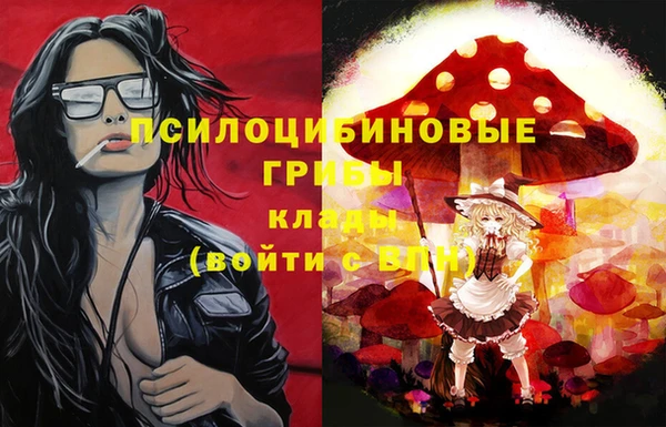 тгк Алексин