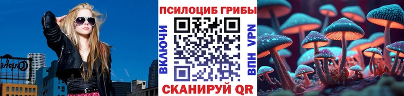 наркошоп Лебедянь блэк спрут tor Псилоцибиновые грибы Psilocybe